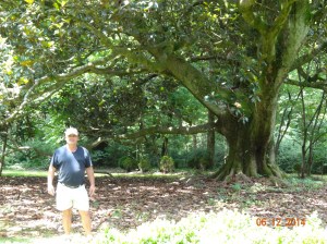 Gary by the Magnolia Tree