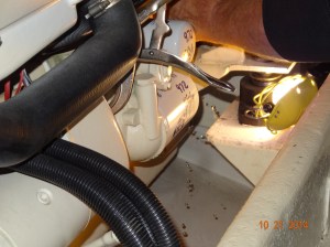 See the water droplets?