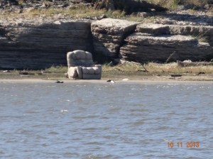 Lazy Boy on an island