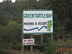 Green Turtle
