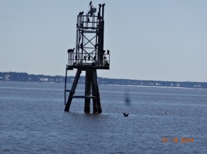 Marker in bay, don't know what these are for yet. We'll have to do some book learning :)