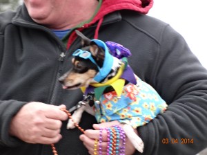 He brought his puppy on the float