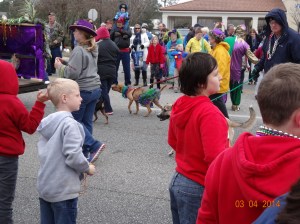 Reminds me of our parade days with the dogs