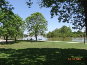 Park by the Marina