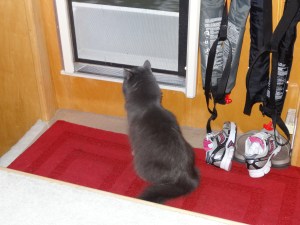 Day 4, Smokie shows up