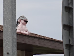 One of the Lock & Dams