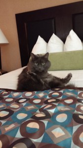 Do you mind?  I'm trying to take a bath here.