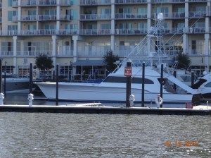 Condo Building at the Warf Marina