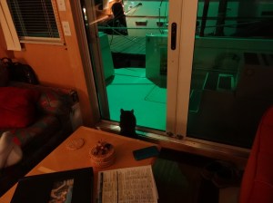 What you watchin Smoke?