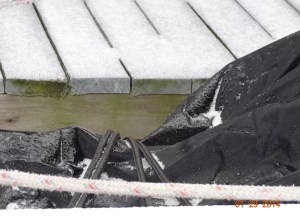 Ice on our bike cover and the dock