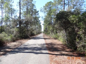 Heading down the trail 2014