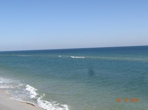 Picture from Pier, for free :)