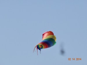 Kite 1