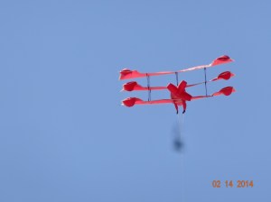 Kite 3