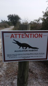 20140227 alligator sign