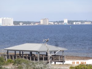 Another picture of bay