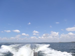 View from the back of their boat
