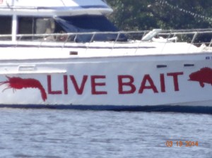 This person lives on his boat right here off the channel, you can get bait from him any time of the day or night