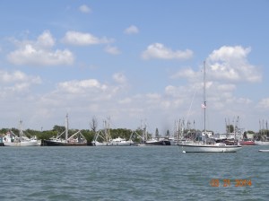 Mooring balls at Fort Myers Beach