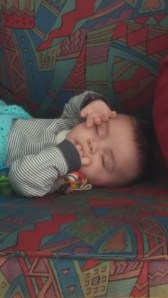 20140331 Vics first nap