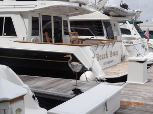 A stroll at The Warf Marina