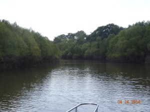Alabama River Cut off Today in April