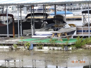 Dock needs a hair cut