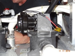 Peek-a-Boo, I see Gary!