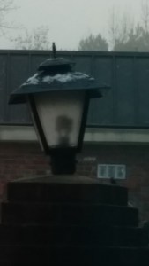 Snow on the lamp post