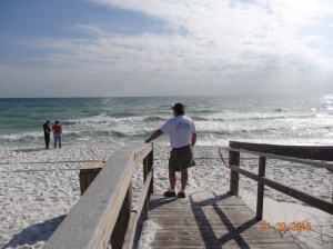 Should I or Shouldn't I?