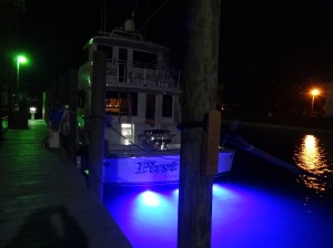 Nice underwater lights