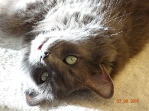 Who me? I don't fart!