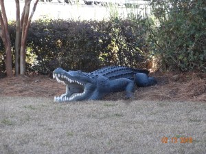 Ahhhh, run for your lives