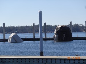 Woman Swimming in Harbor