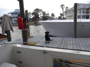 Hello!  Are you in there?