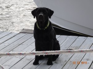 Time for Breakfast Cookie, please, please