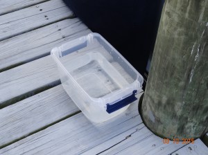 This is my little buddies Watering dish :)