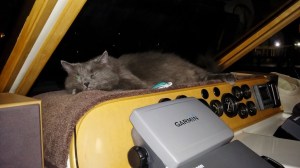 No peaking at others cards!