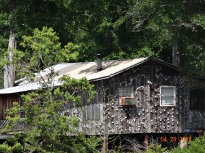 What kind of siding is that?