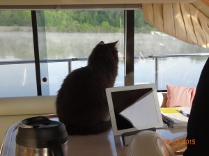 Always on watch, Mr. Smokey