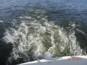 Clean water behind the boat