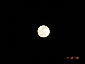 See the Man in the moon?