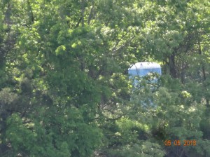 Peek-A-Boo outhouse