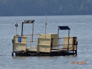 20150505 what the heck