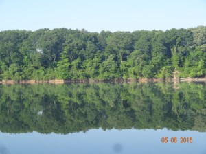 Water is like a mirror