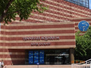 Tennessee Aquarium, River Journey, fresh water exhibit