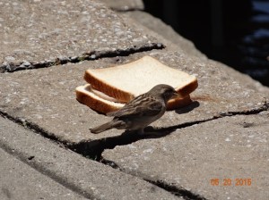"Thanks" who ever left me their lunch :)