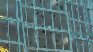 Close up of climbing wall