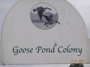 Goose Pond