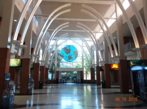 IMAX - we saw the movie about the whales